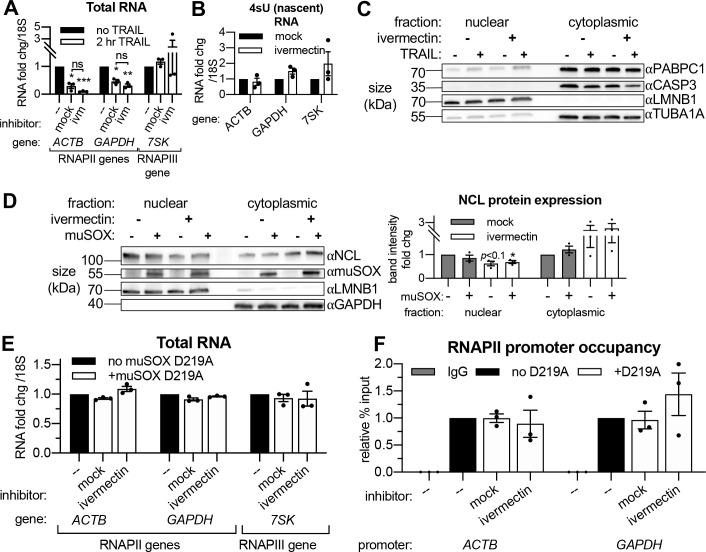 https://cdn.ncbi.nlm.nih.gov/pmc/blobs/fbc0/8192121/3de15066f0f8/elife-58342-fig5-figsupp1.jpg