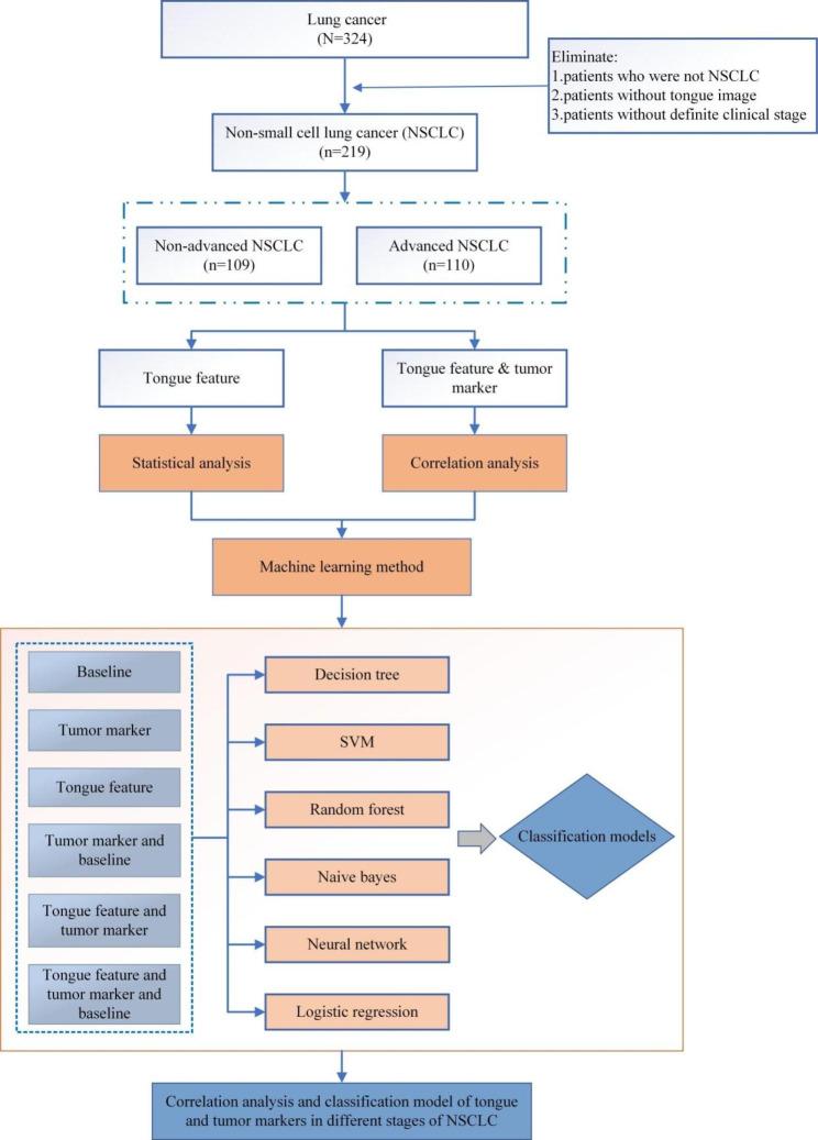 https://cdn.ncbi.nlm.nih.gov/pmc/blobs/fbc1/10542664/029cb5eb6d7a/12911_2023_2266_Fig1_HTML.jpg
