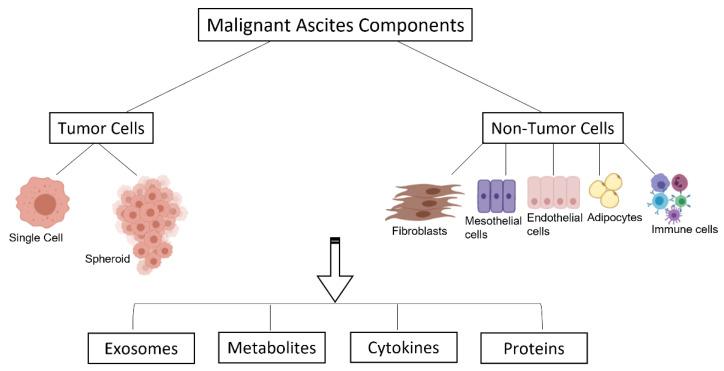 https://cdn.ncbi.nlm.nih.gov/pmc/blobs/fbc1/9504085/142c532956e0/ijms-23-10692-g002.jpg