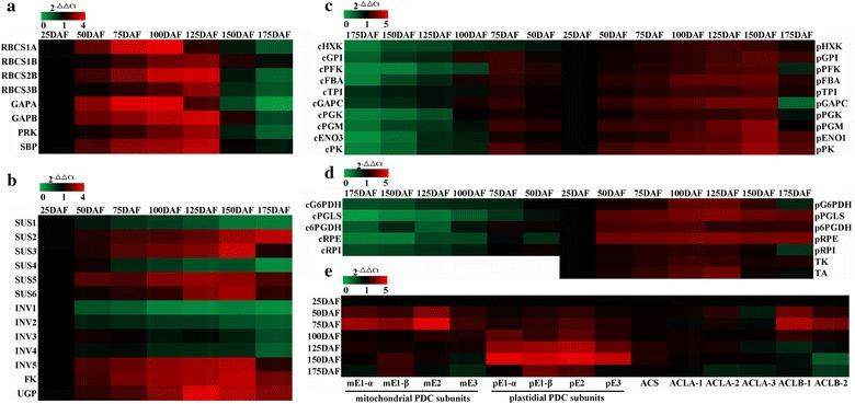 https://cdn.ncbi.nlm.nih.gov/pmc/blobs/fbc3/5445305/6f849399feaa/13068_2017_820_Fig3_HTML.jpg