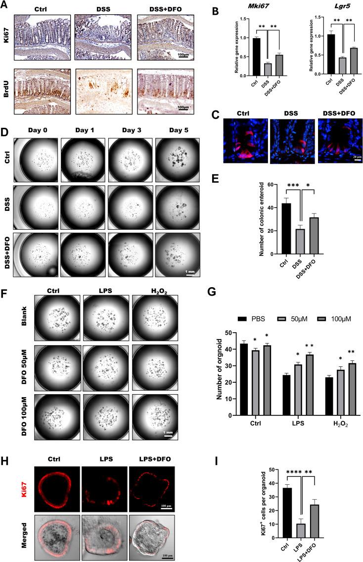 https://cdn.ncbi.nlm.nih.gov/pmc/blobs/fbc5/11822217/74d611b77498/fimmu-16-1537651-g003.jpg