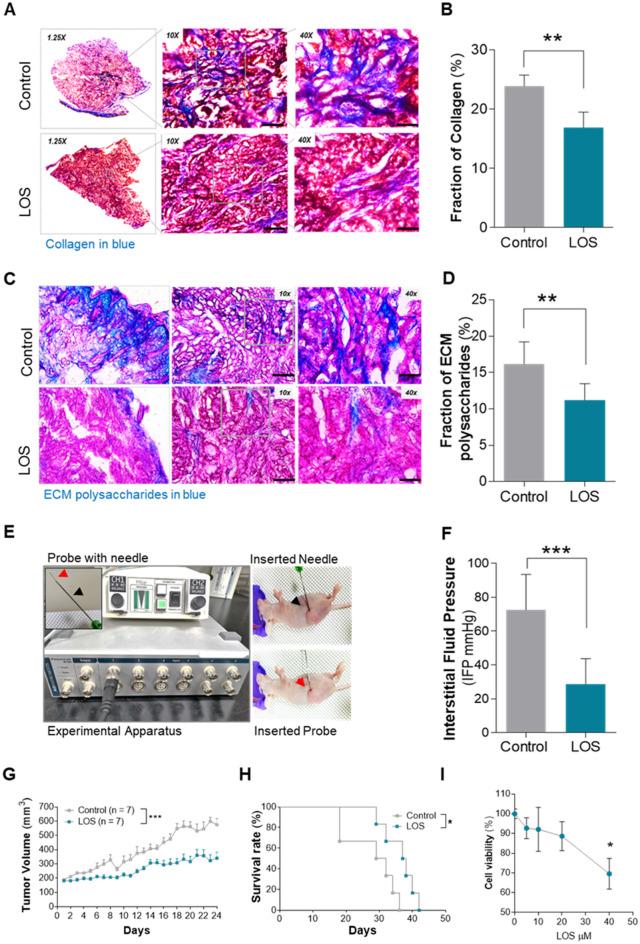 https://cdn.ncbi.nlm.nih.gov/pmc/blobs/fbc9/12069594/493e69f60cb3/41598_2025_97983_Fig1_HTML.jpg