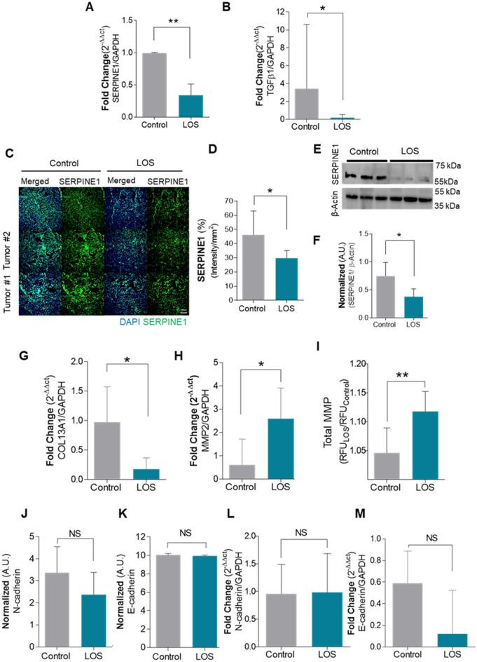 https://cdn.ncbi.nlm.nih.gov/pmc/blobs/fbc9/12069594/7c93cd2b01e7/41598_2025_97983_Fig4_HTML.jpg