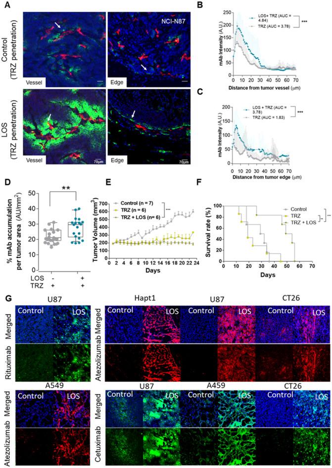 https://cdn.ncbi.nlm.nih.gov/pmc/blobs/fbc9/12069594/dab92e1cfed8/41598_2025_97983_Fig2_HTML.jpg