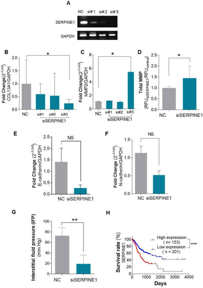 https://cdn.ncbi.nlm.nih.gov/pmc/blobs/fbc9/12069594/e899d0be413e/41598_2025_97983_Fig5_HTML.jpg