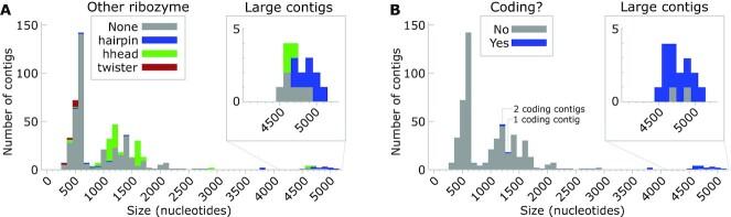 https://cdn.ncbi.nlm.nih.gov/pmc/blobs/fbcb/8216279/fd717758c02e/gkab454fig5.jpg