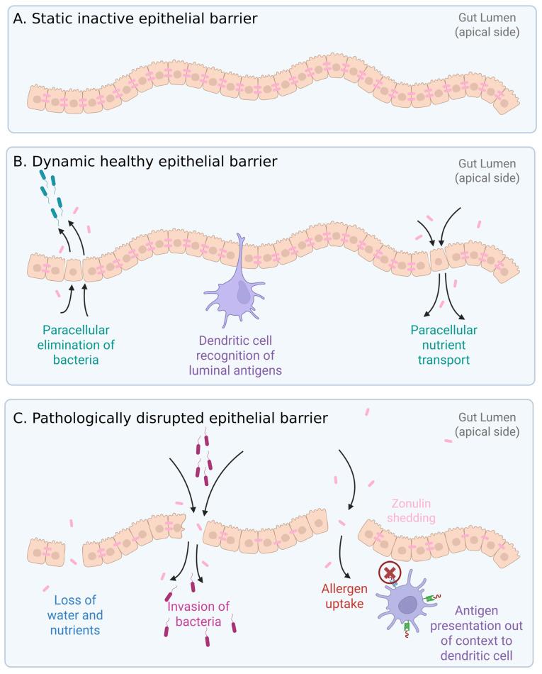 https://cdn.ncbi.nlm.nih.gov/pmc/blobs/fbcc/12298105/640f48d598ca/microorganisms-13-01466-g002.jpg