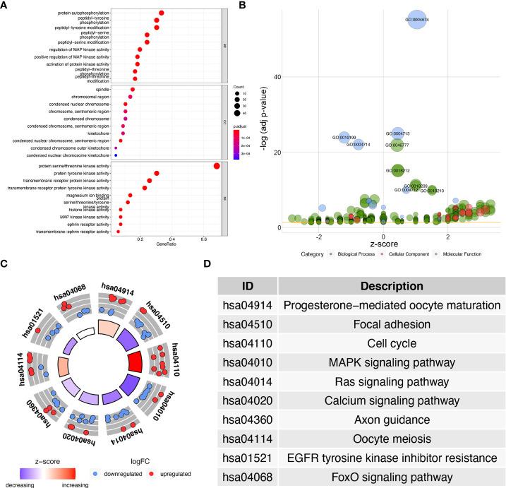 https://cdn.ncbi.nlm.nih.gov/pmc/blobs/fbcc/9491090/002b81e75e0d/fonc-12-944000-g002.jpg