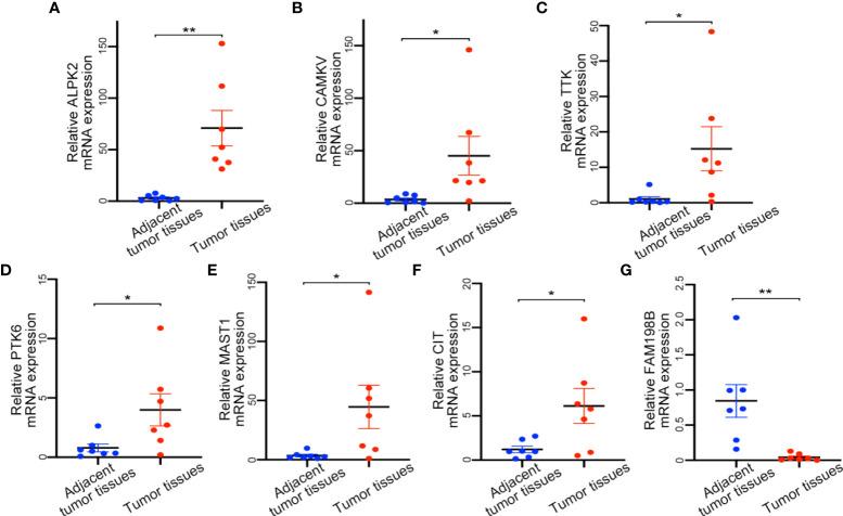 https://cdn.ncbi.nlm.nih.gov/pmc/blobs/fbcc/9491090/3a00adabe923/fonc-12-944000-g006.jpg