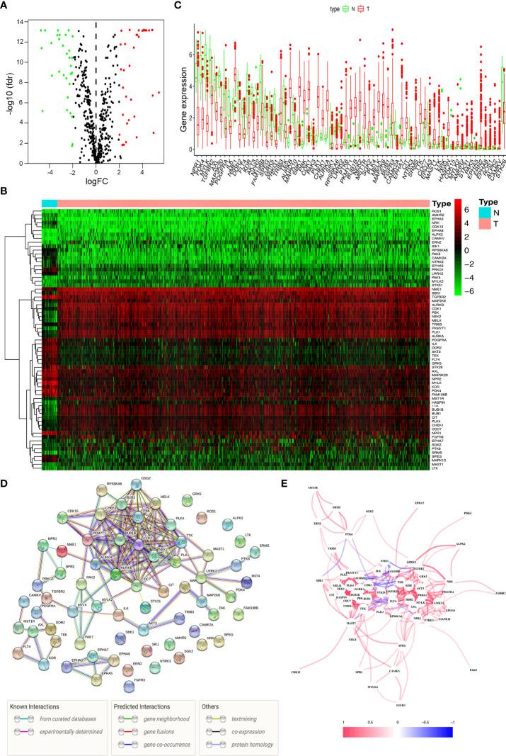 https://cdn.ncbi.nlm.nih.gov/pmc/blobs/fbcc/9491090/ca543d1eb67c/fonc-12-944000-g001.jpg