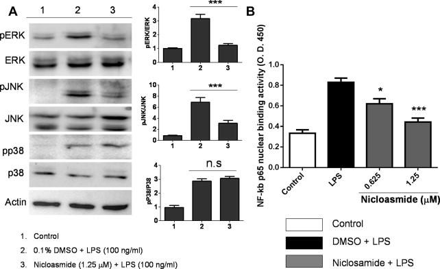 https://cdn.ncbi.nlm.nih.gov/pmc/blobs/fbce/7094312/c1c3f924d19d/gr5.jpg