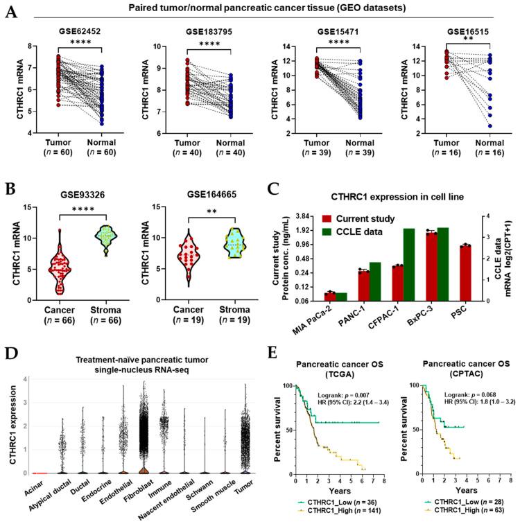 https://cdn.ncbi.nlm.nih.gov/pmc/blobs/fbd3/10340658/4865433c9f93/cancers-15-03370-g001.jpg