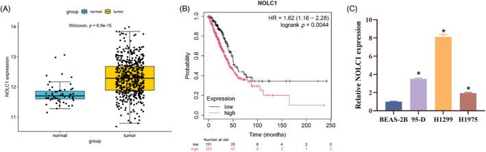 https://cdn.ncbi.nlm.nih.gov/pmc/blobs/fbd3/12117913/526e48466ca7/KJM2-41-e12930-g001.jpg