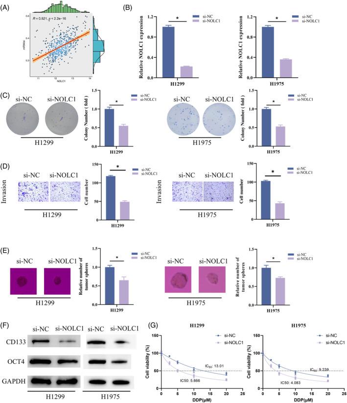 https://cdn.ncbi.nlm.nih.gov/pmc/blobs/fbd3/12117913/52dbcb59d323/KJM2-41-e12930-g002.jpg