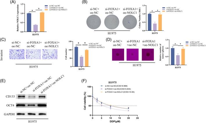 https://cdn.ncbi.nlm.nih.gov/pmc/blobs/fbd3/12117913/d005e8bc8fa3/KJM2-41-e12930-g006.jpg