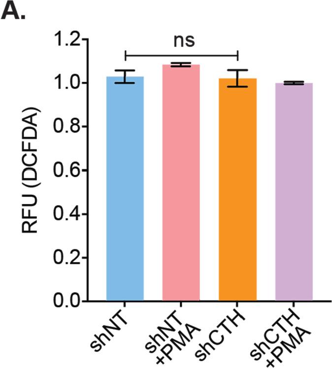 https://cdn.ncbi.nlm.nih.gov/pmc/blobs/fbd4/8660018/4d99b202bb35/elife-68487-fig3-figsupp1.jpg