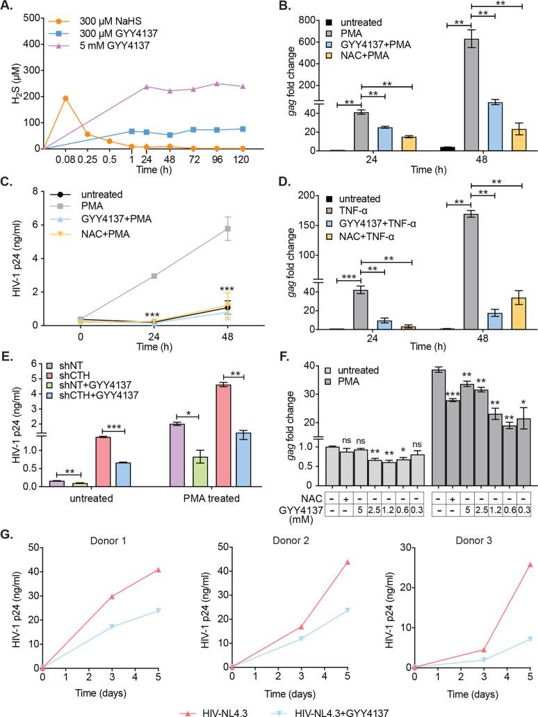 https://cdn.ncbi.nlm.nih.gov/pmc/blobs/fbd4/8660018/6fb36d48c870/elife-68487-fig4.jpg