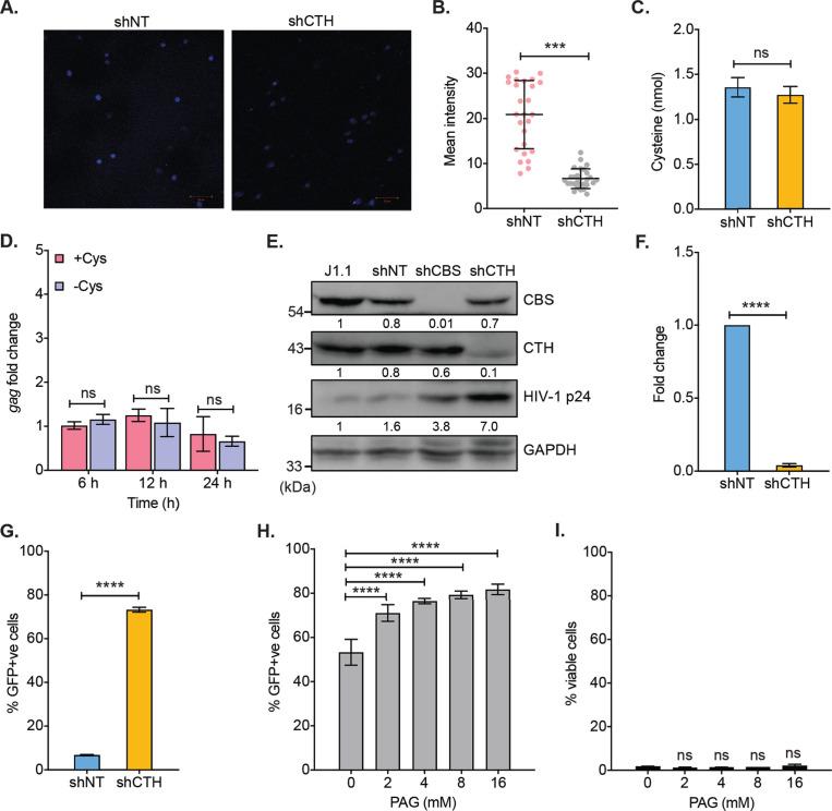 https://cdn.ncbi.nlm.nih.gov/pmc/blobs/fbd4/8660018/e9dfdcfa30c6/elife-68487-fig2-figsupp1.jpg