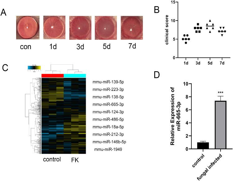 https://cdn.ncbi.nlm.nih.gov/pmc/blobs/fbd5/7838549/701284b14aa0/iovs-62-1-24-f001.jpg