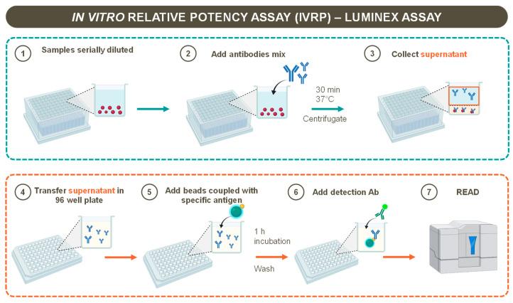 https://cdn.ncbi.nlm.nih.gov/pmc/blobs/fbd6/10975739/057c8b5bbe99/pharmaceutics-16-00420-g001.jpg