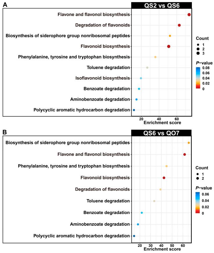 https://cdn.ncbi.nlm.nih.gov/pmc/blobs/fbd7/11988548/325f7eb172fd/ijms-26-02841-g003.jpg