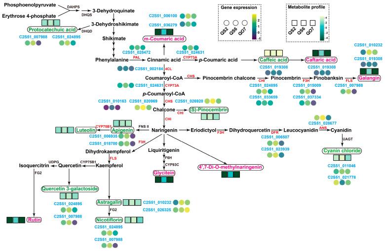 https://cdn.ncbi.nlm.nih.gov/pmc/blobs/fbd7/11988548/556d0cfeea19/ijms-26-02841-g008.jpg