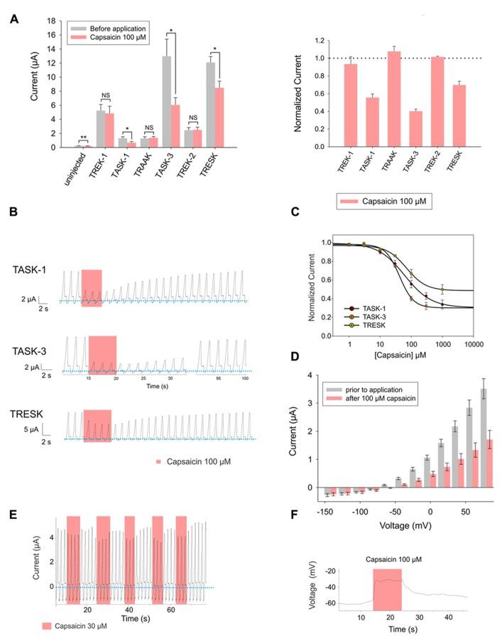 https://cdn.ncbi.nlm.nih.gov/pmc/blobs/fbd7/3831292/480bfac058c6/fphar-04-00141-g003.jpg