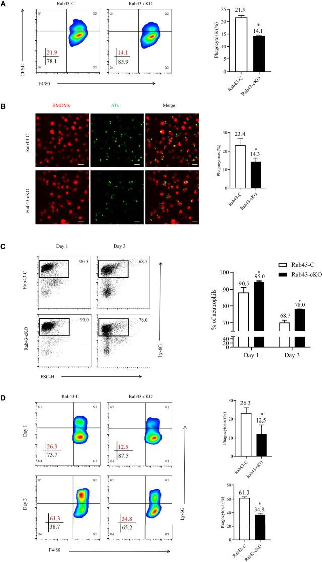 https://cdn.ncbi.nlm.nih.gov/pmc/blobs/fbd7/8980266/1c5449dcc5e3/fimmu-13-767630-g003.jpg
