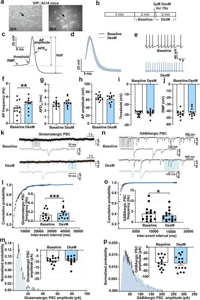 https://cdn.ncbi.nlm.nih.gov/pmc/blobs/fbd8/11680882/13705d21e9f1/42003_2024_7430_Fig5_HTML.jpg
