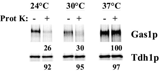 https://cdn.ncbi.nlm.nih.gov/pmc/blobs/fbd8/2172695/8e7ed772de94/200212101f7.jpg
