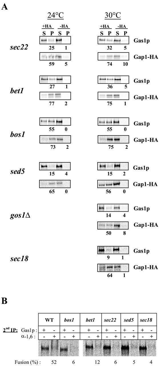 https://cdn.ncbi.nlm.nih.gov/pmc/blobs/fbd8/2172695/98111c357a1f/200212101f1.jpg