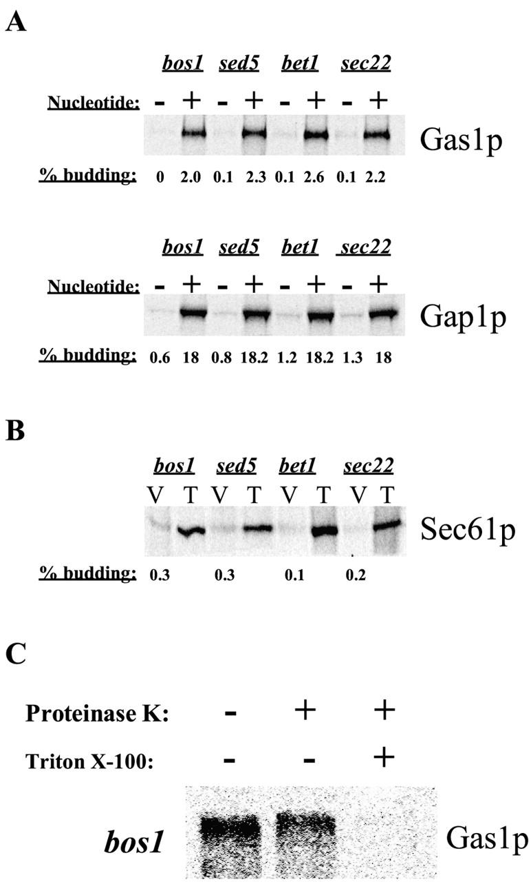 https://cdn.ncbi.nlm.nih.gov/pmc/blobs/fbd8/2172695/c5b4c5e77450/200212101f2.jpg