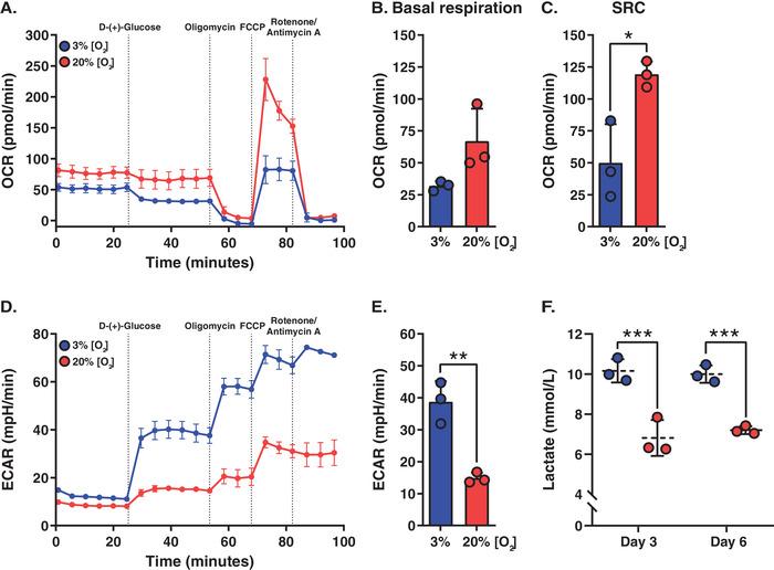 https://cdn.ncbi.nlm.nih.gov/pmc/blobs/fbd9/10108084/d8414d69e5c8/EJI-53-0-g007.jpg