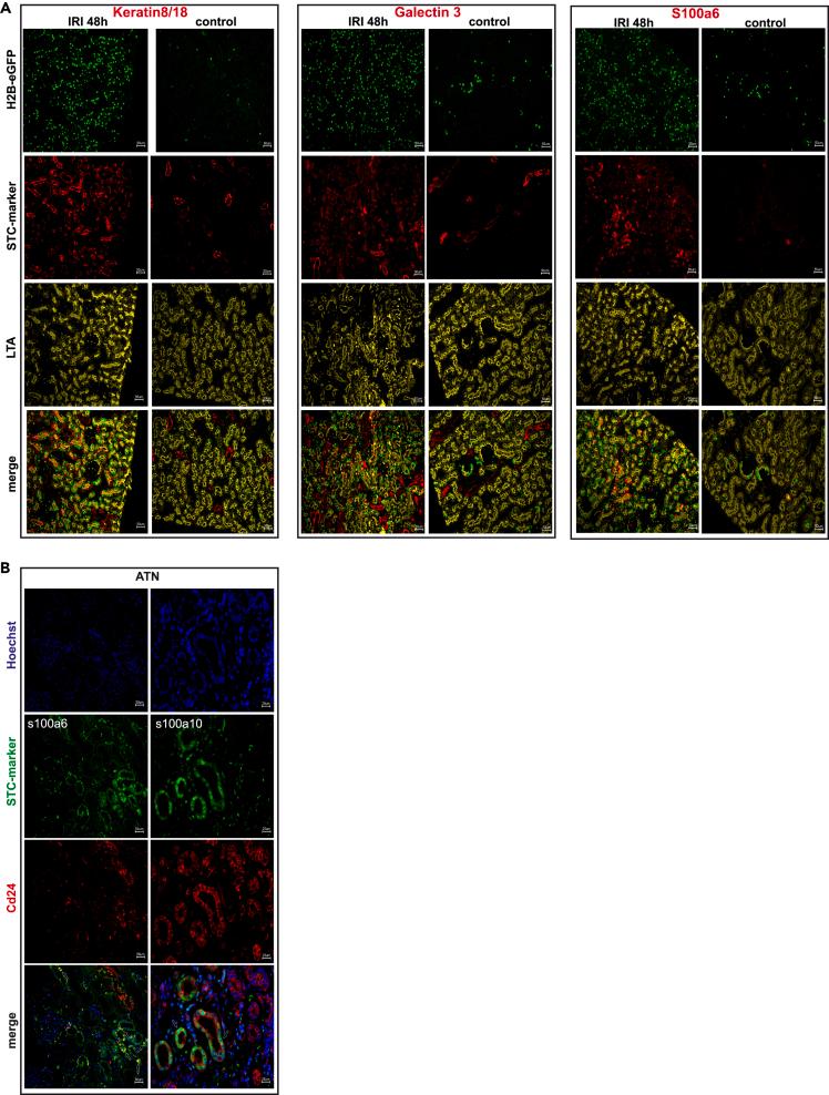https://cdn.ncbi.nlm.nih.gov/pmc/blobs/fbdb/10914483/d2f60ee88329/gr3.jpg