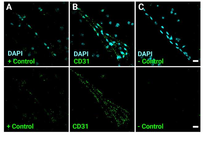 https://cdn.ncbi.nlm.nih.gov/pmc/blobs/fbdc/11513094/4521842ed856/41598_2024_77501_Fig2_HTML.jpg