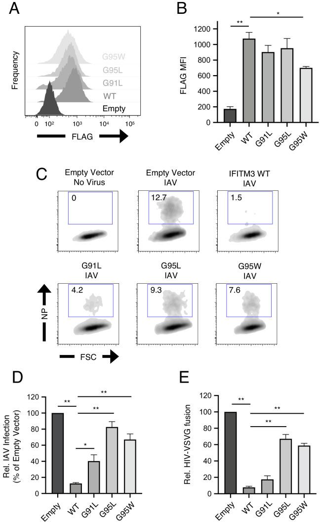https://cdn.ncbi.nlm.nih.gov/pmc/blobs/fbdf/7665892/9aa2c7d99043/elife-58537-fig2.jpg