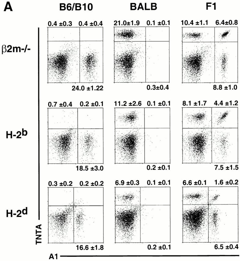 https://cdn.ncbi.nlm.nih.gov/pmc/blobs/fbe1/2195928/b5eead43f14f/JEM001750.f5a.jpg