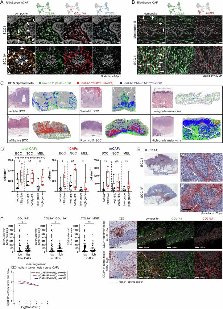 https://cdn.ncbi.nlm.nih.gov/pmc/blobs/fbe2/11549091/2af5ae2746e5/41467_2024_53908_Fig5_HTML.jpg