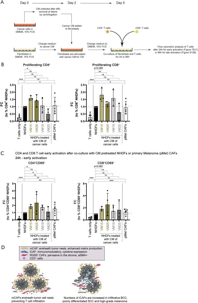 https://cdn.ncbi.nlm.nih.gov/pmc/blobs/fbe2/11549091/86b134832239/41467_2024_53908_Fig7_HTML.jpg