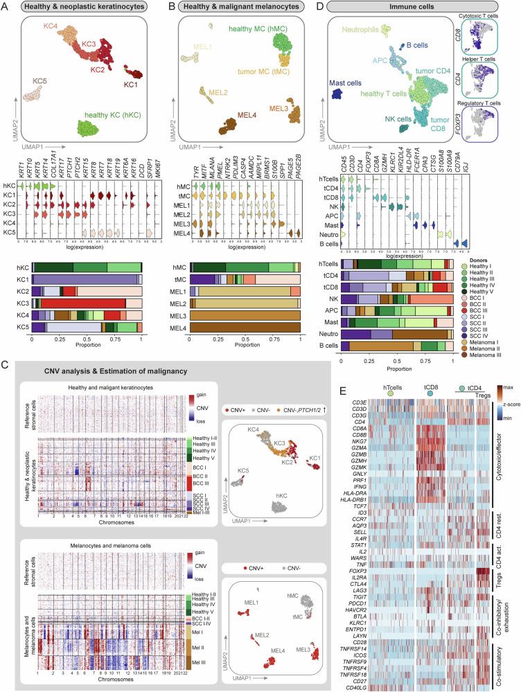 https://cdn.ncbi.nlm.nih.gov/pmc/blobs/fbe2/11549091/ffd2d89893dd/41467_2024_53908_Fig2_HTML.jpg