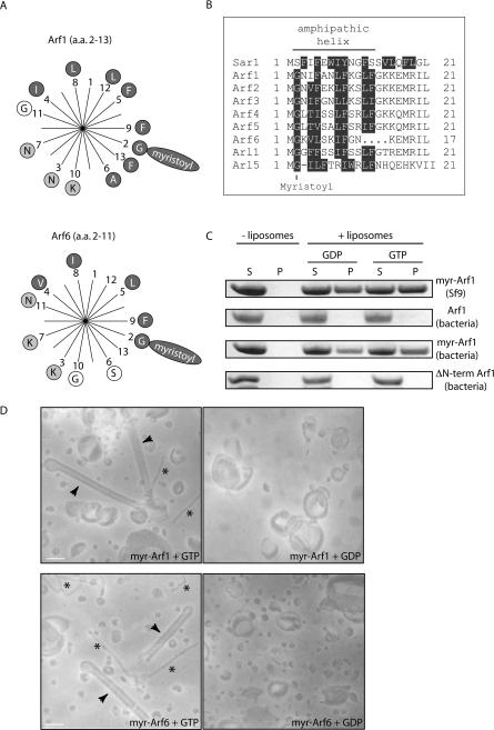 https://cdn.ncbi.nlm.nih.gov/pmc/blobs/fbe2/2518064/404a1de3777e/bic054i001.jpg