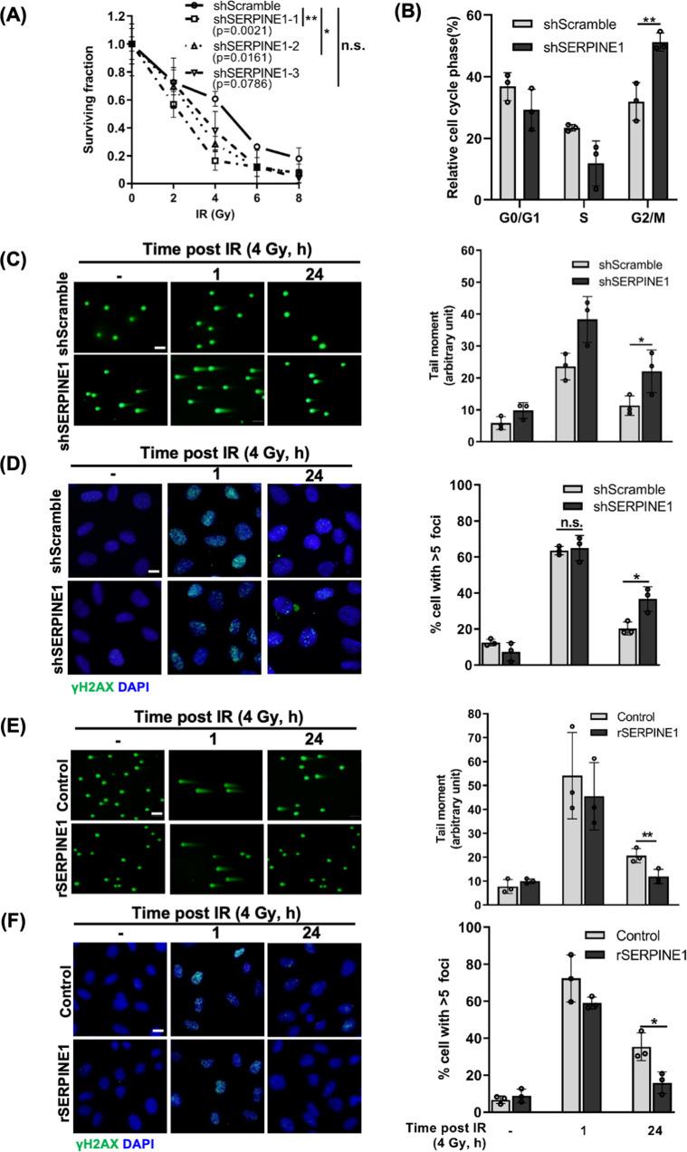 https://cdn.ncbi.nlm.nih.gov/pmc/blobs/fbe2/9867751/6e9cbcb66c07/41419_2023_5576_Fig4_HTML.jpg