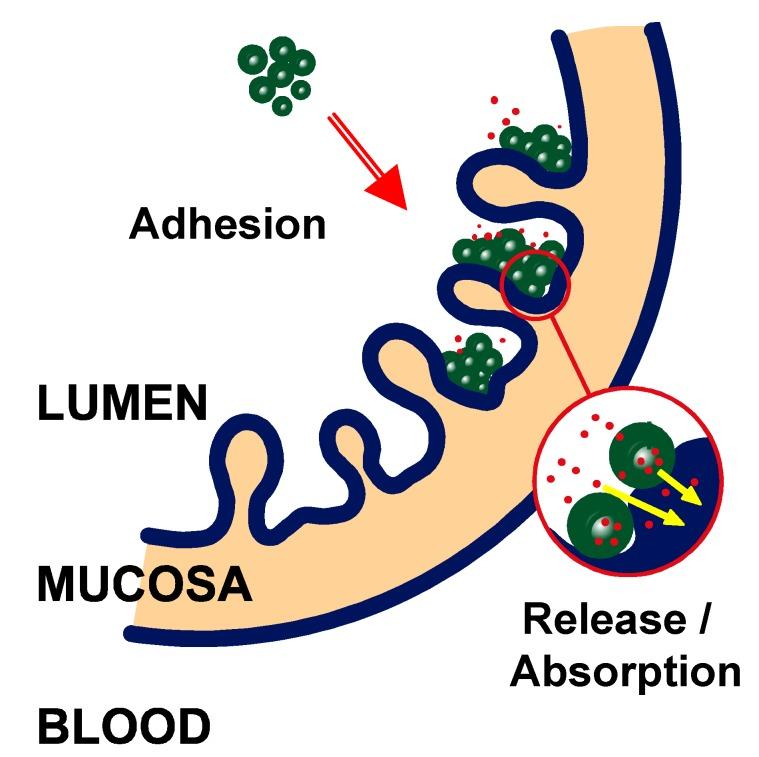 https://cdn.ncbi.nlm.nih.gov/pmc/blobs/fbe6/6147552/ecd5afeb19f1/molecules-10-00126-g001.jpg