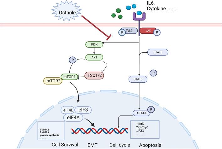 https://cdn.ncbi.nlm.nih.gov/pmc/blobs/fbe7/10108473/4af77da5bb9b/12906_2023_3938_Fig8_HTML.jpg
