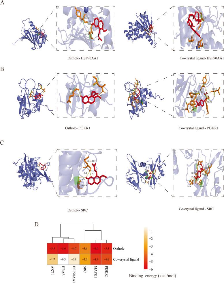 https://cdn.ncbi.nlm.nih.gov/pmc/blobs/fbe7/10108473/6b06911b5ebd/12906_2023_3938_Fig4_HTML.jpg