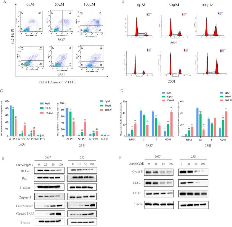 https://cdn.ncbi.nlm.nih.gov/pmc/blobs/fbe7/10108473/e726202bd8db/12906_2023_3938_Fig6_HTML.jpg