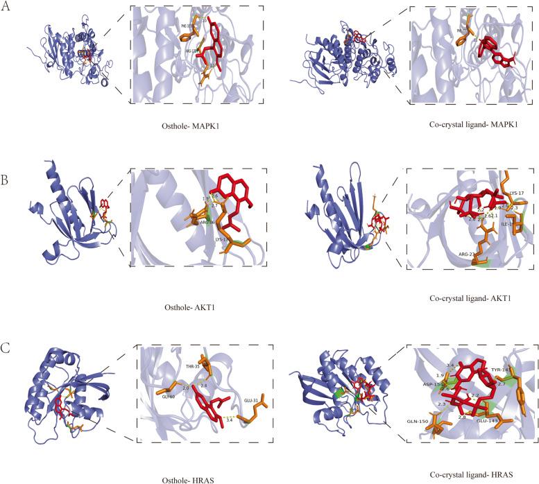 https://cdn.ncbi.nlm.nih.gov/pmc/blobs/fbe7/10108473/eeaecd588cbd/12906_2023_3938_Fig3_HTML.jpg