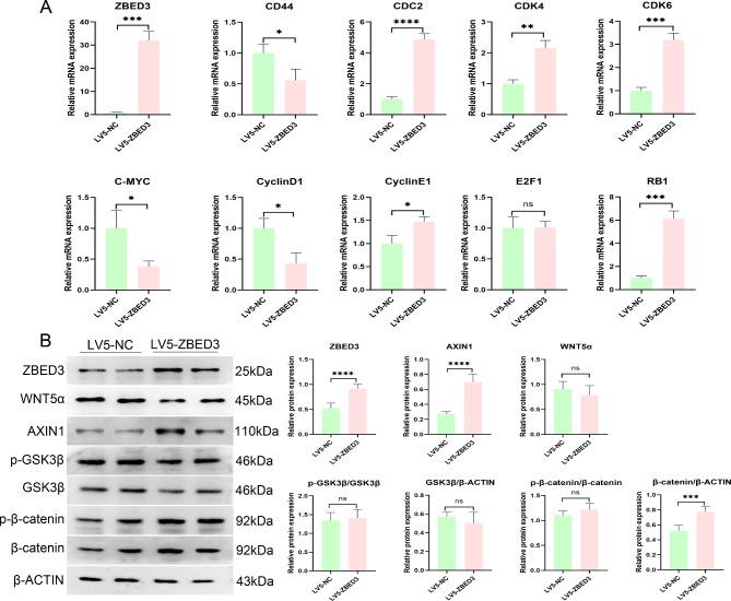 https://cdn.ncbi.nlm.nih.gov/pmc/blobs/fbe7/11535031/128edee18e90/41598_2024_77453_Fig8_HTML.jpg