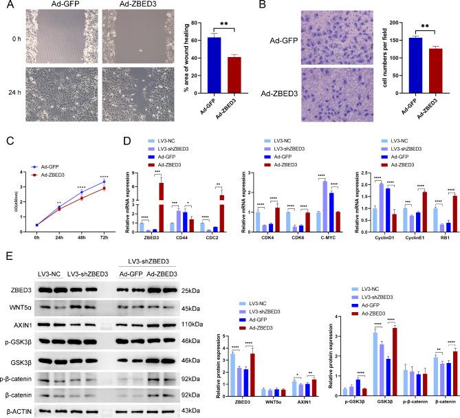 https://cdn.ncbi.nlm.nih.gov/pmc/blobs/fbe7/11535031/7e830bba6a2d/41598_2024_77453_Fig9_HTML.jpg