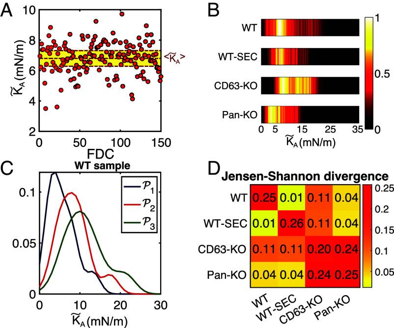 https://cdn.ncbi.nlm.nih.gov/pmc/blobs/fbe8/12037009/0744352216b4/pnas.2414174122fig03.jpg